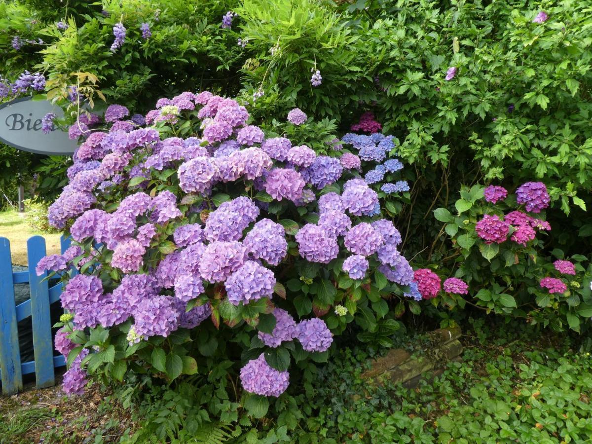 Elliant Nuances Bretonnes B&B 외부 사진